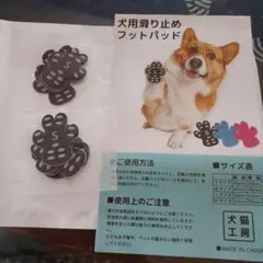 Item thumbnail for item 60091135-3d2d-4675-ad7f-e79e0ae8d8f5