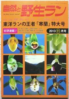 自然と野生ラン 2013年11月号