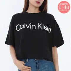 新品 Calvin Klein LV044C903G UB1 Tシャツ S