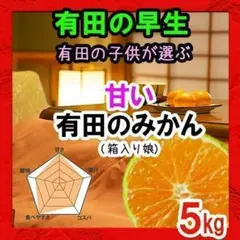 【箱入り娘(早生)】これぞ有田みかん 甘くておいしい!とリピ続出!5kg