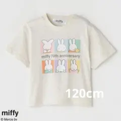 新品タグ付き ミッフィー 70周年 Tシャツ 半袖 120cm