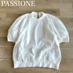パシオーネ 美品 チュールレイヤード パフスリーブ オーバーサイズブラウストップ