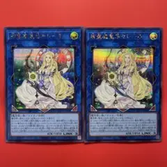 遊戯王　神聖魔皇后セレーネ　シク　2枚　TTP1