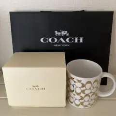 Item thumbnail for item ac12f36f-cfcc-450a-abc8-2411371f3346