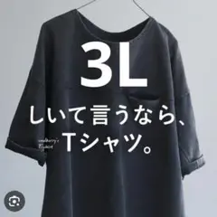 ソウルベリー　しいて言うなら、Tシャツ。3L　黒