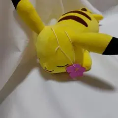 ピカチュウ　ぬいぐるみ　ハイビスカス　ポケモン