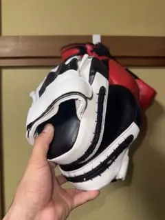 ボクシング パンチングミット 白黒 2個