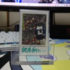 【美品】 Ado サイン チェキサイズ 高級アクリルローダー付き 2025年最新】ado チェキ 直筆の人気アイテム - メルカリ