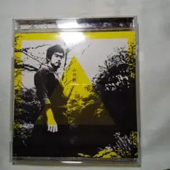 山作戰
