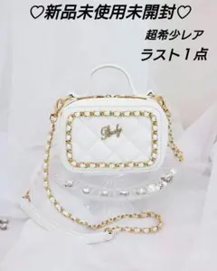 希少レアRadyミニチェーンバニティバッグ白色 新品未使用未開封