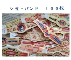 Item thumbnail for item 8b9cc8fa-6ce7-46ac-bec2-3a0a68e1bacb