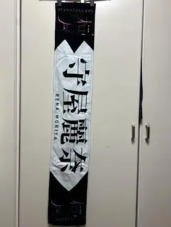 守屋麗奈　桜月タオル　ペンライト　セット 2025年最新】守屋麗奈 タオル 桜月の人気アイテム - メルカリ