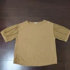 ESSEME ブラウン 半袖Tシャツ レーススリーブ