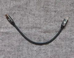 C-Cケーブル　20cm