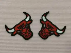 【NBA★WAPPEN】シカゴブルズ！アイロンワッペン／タイプＭ＜2枚＞★★