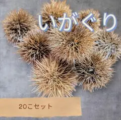 Item thumbnail for item 9d3cec7e-1d0b-4cde-bc63-a336de69e4f0