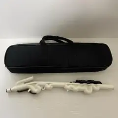 Item thumbnail for item fd309487-be8d-4417-a1b2-e63104f798ef