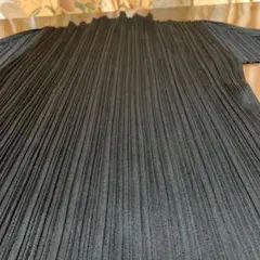 プリーツプリーズ半袖