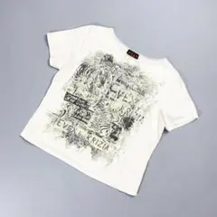 EVEX by KRIZIA 泊プリントTシャツ 白 サイズ46*CD1203