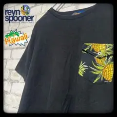 【希少】reyn spooner レインスプーナー ポケットTシャツ