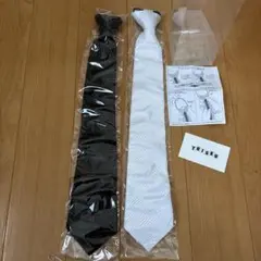 Item thumbnail for item 192eb474-0c65-4e81-b743-9a60d7fdefeb