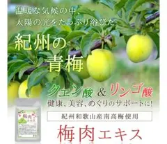 【紀州産南高梅を厳選使用】 梅肉エキス 3ヵ月分 クエン酸 疲労