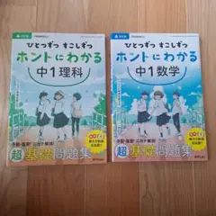 【9月20日まで値下げ】ひとつずつ すこしずつ ホントにわかる 中1 理科 数学