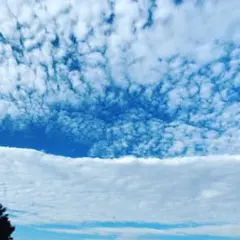 kei専用