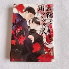 護衛と坊っちゃん　海野幸　小説　ライトノベル　BL