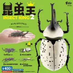 Item thumbnail for item 1ec0b3d9-80f3-45b5-90ce-e9afd6e36222