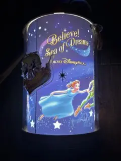 ディズニー　ポップコーン