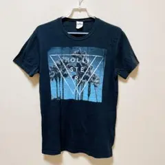 Hollister ダークブルー Tシャツ