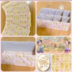 仕切り収納ボックス♡ディズニーファンタジースプリングス　ホテル