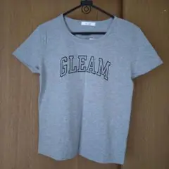 新品 未使用 英字プリント 半袖 Tシャツ レディース ＬＬ グレー