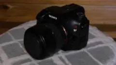 Item thumbnail for item 3bec46a0-f172-4011-adfb-7ba2cb7b8437