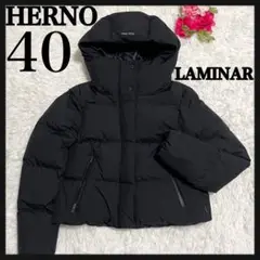 【大人気デザイン】ヘルノ HERNO LAMINAR ダウンジャケット 即完売