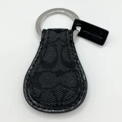 Item thumbnail for item dbbaf0a9-9123-453d-ba9b-45997a44725f