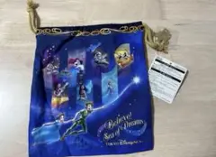 ディズニー　ビリーヴ　巾着