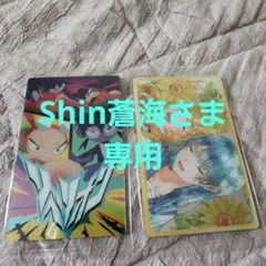 Shin蒼海さま専用