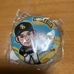 若鷹ガチャ　ファイト九州　ソフトバンク STEWART JR. 缶バッジ