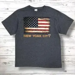 DELTA PRO WEIGHT Tシャツ デカロゴ グレー L 1009