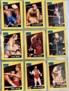 Item thumbnail for item 5139161c-a172-4ecf-b1a8-6083f351b7b8