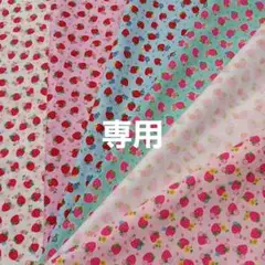 専用　生地　各2M
