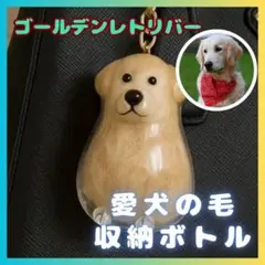 Item thumbnail for item e9008aff-c462-426d-8397-49b97ca6e342