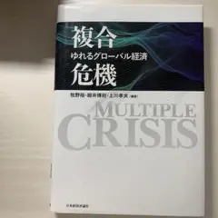 複合危機 ゆれるグローバル経済