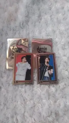 straykids アイエン　ライブフォトカード