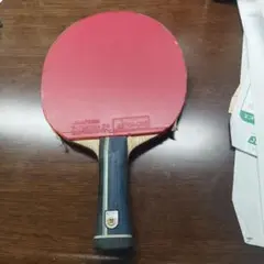 張本智和インナーフォースALC