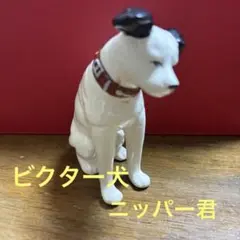 2025年最新】ビクター犬 ガラスの人気アイテム - メルカリ