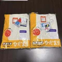 Item thumbnail for item 5a2fddd5-3163-4742-be91-9f896747800d