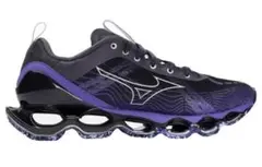 美品　MIZUNO wave prophecy X ブラック/パープル 29cm